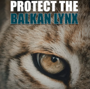 Balkan Lynx Ambassadors